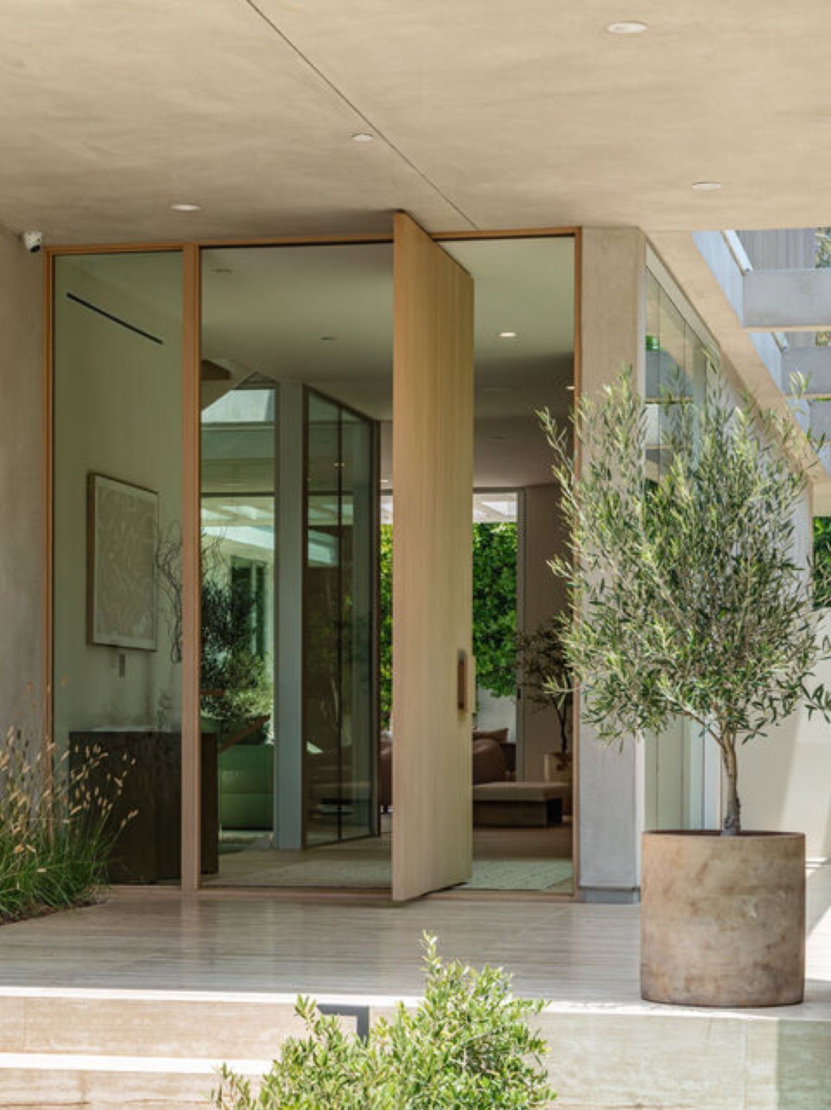 Oak pivot entry door framed by olive trees